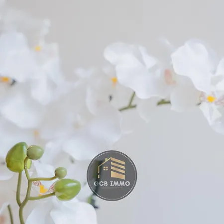 Διαμέρισμα Le Viallet - 3 Centre - Clim-proche Gare Γκρενόμπλ