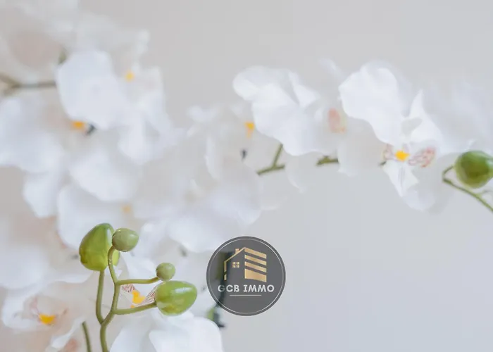 アパート Le Viallet - 3 Centre - Clim-proche Gare グルノーブル